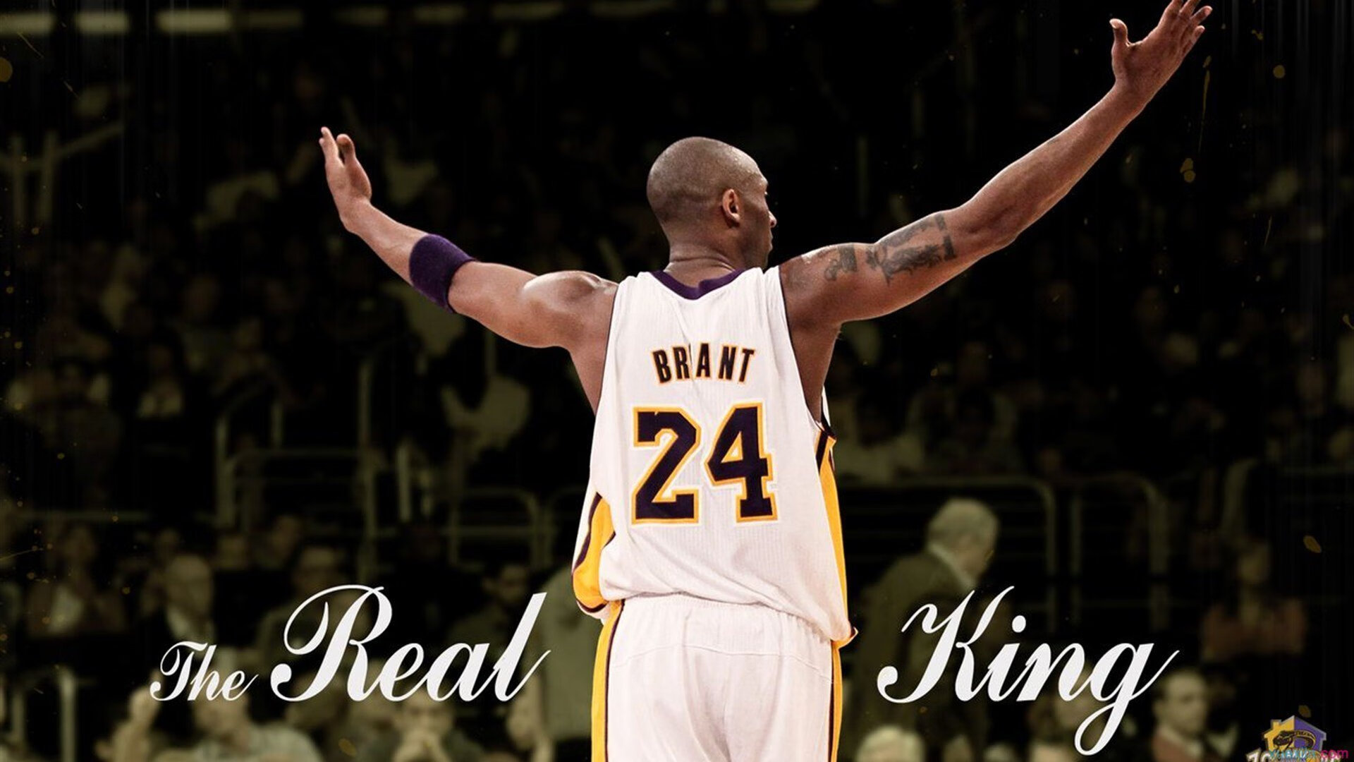 奥运射击选拔赛争夺白热化，奥运射击运动